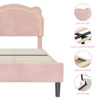 Luxuriöses Samt-Plattformbettgestell mit verstellbarem Bären-Kopfteil, geräuschfreies gepolstertes Bett, kein Boxspring erforderlich, modernes Schlafzimmer-Highlight  